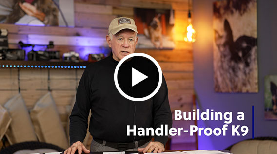 Building a Handler Proof Detection K9