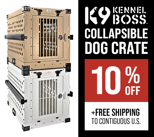 10% Off and Free Shipping