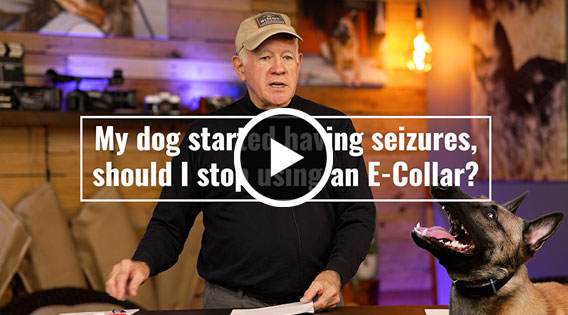 My dog started having seizures, should I stop using an E-Collar?