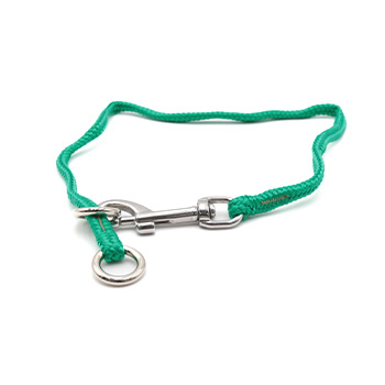 Dominant Dog Collar - Green - 24IN