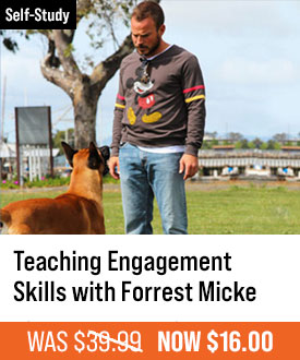 Teaching Engagement Skills