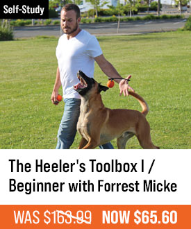 The Heeler's Toolbox I / Beginner