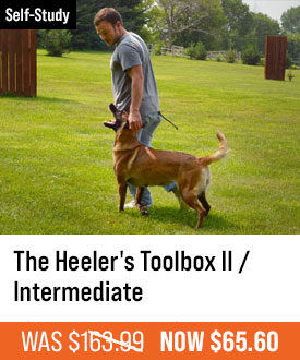 The Heeler's Toolbox II / Intermediate