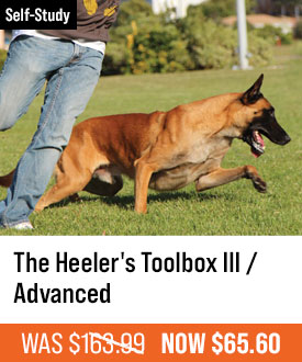 The Heeler's Toolbox III / Advanced