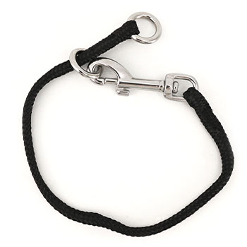 Dominant Dog Collar