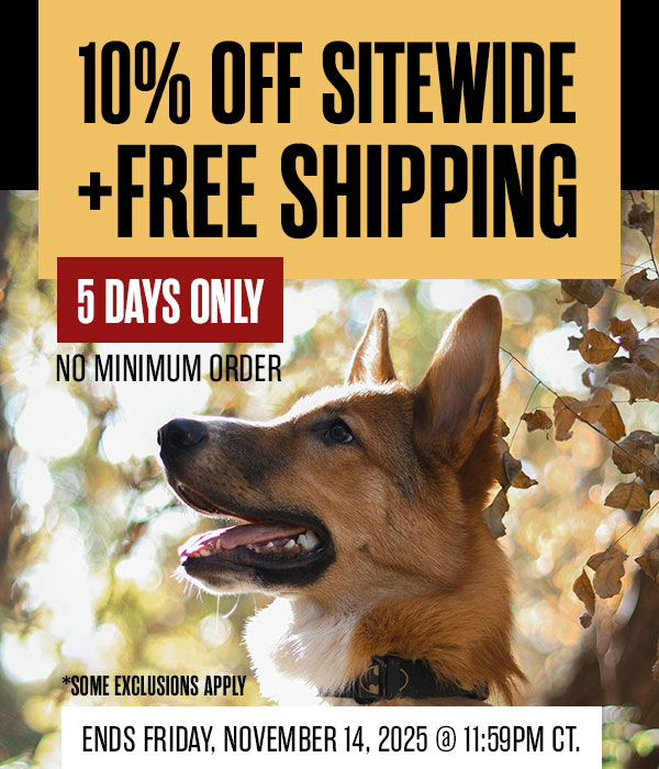 60% Off Forrest Micke Courses