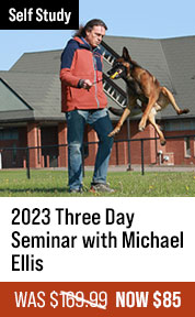 2023 Three Day Seminar with Michael Ellis