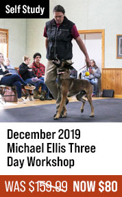 December 2019 Michael Ellis Three Day Workshop