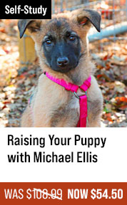  Raising Your Puppy with Michael Ellis