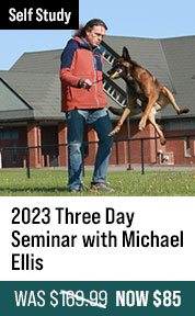  2023 Three Day Seminar with Michael Ellis
