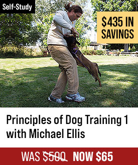 The Principles of Dog Training 1 with Michael Ellis