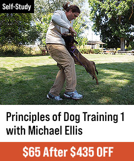 The Principles of Dog Training 1 with Michael Ellis