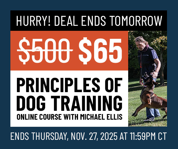 Principles of Dog Training Now $65