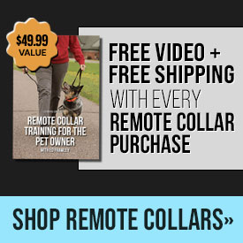 Free Video + Free Shipping with Every Remote Collar Purchase