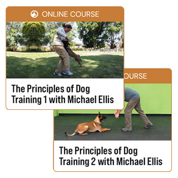 Principles of Dog Training Bundle