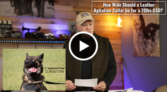 How Wide Should a Leather Agitation Collar Be for a 70lbs GSD