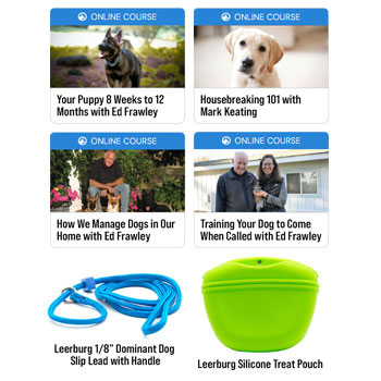 Getting Started With Your New Puppy Bundle