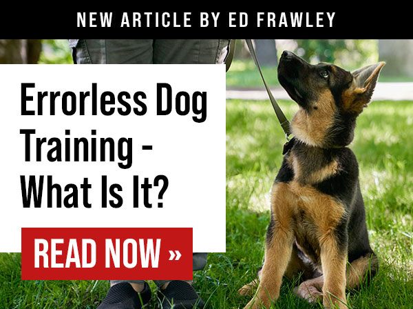 Errorless Training in Dog Training