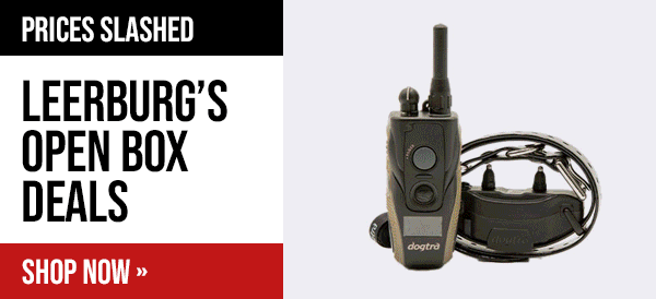 Leerburg Warehouse Sale