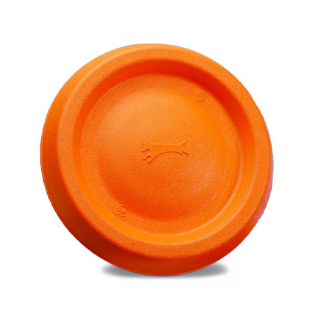 Leerburg's Foam Disc