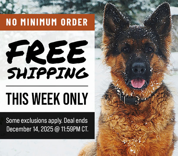 Free Shipping