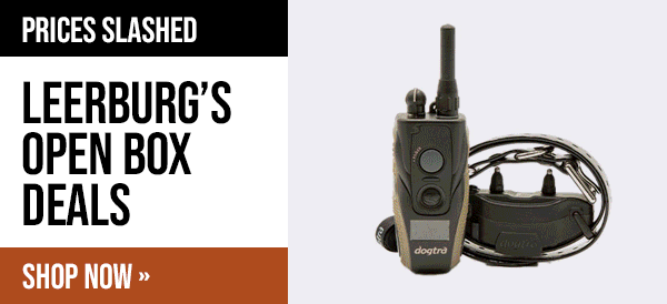 Leerburg Warehouse Sale