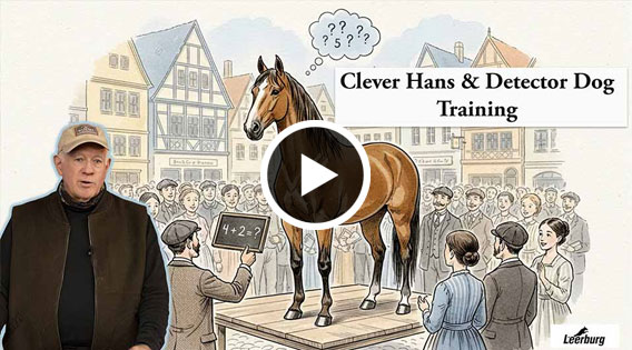 How Wide Should a Leather Agitation Collar Be for a 70lbs GSD