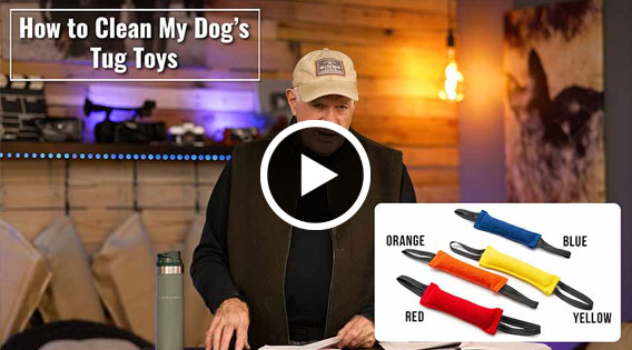How to Clean My Dog's Tug Toys