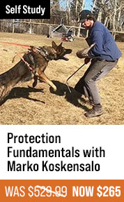 Protection Fundamentals