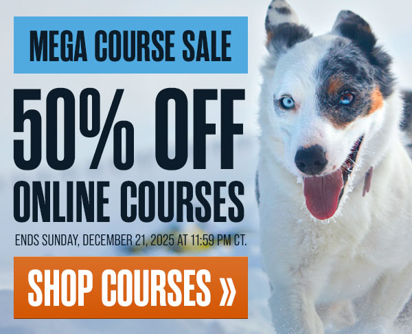 Mega Course Sale: 50% Off Courses
