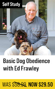 Basic Dog Obedience