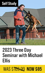 2023 Three Day Seminar with Michael Ellis