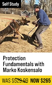 Protection Fundamentals