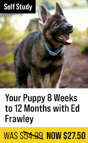 Your Puppy 8 Weeks to 12 Months