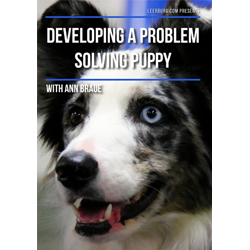 Developing A Problem Solving Puppy with Ann Braue