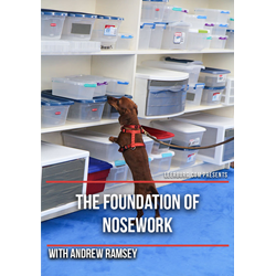 The Foundation of Nosework with Andrew Ramsey