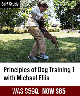 The Principles of Dog Training 1 with Michael Ellis