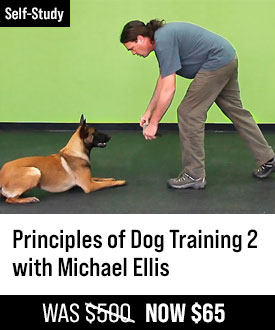 The Principles of Dog Training 2 with Michael Ellis