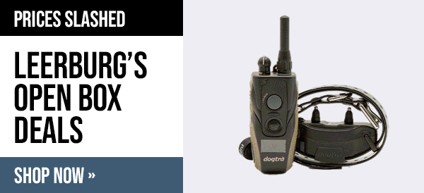 Leerburg Warehouse Sale