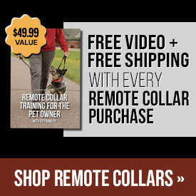 Free Video + Free Shipping with Every Remote Collar Purchase