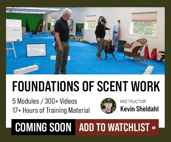 Coming Soon: Foundation of Detection