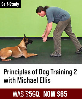 The Principles of Dog Training 2 with Michael Ellis
