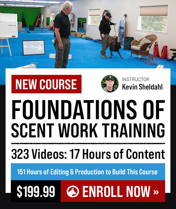 New Course: Foundations of Scent Work Training