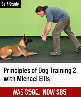 The Principles of Dog Training 2 with Michael Ellis