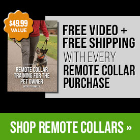 Free Video + Free Shipping with Every Remote Collar Purchase