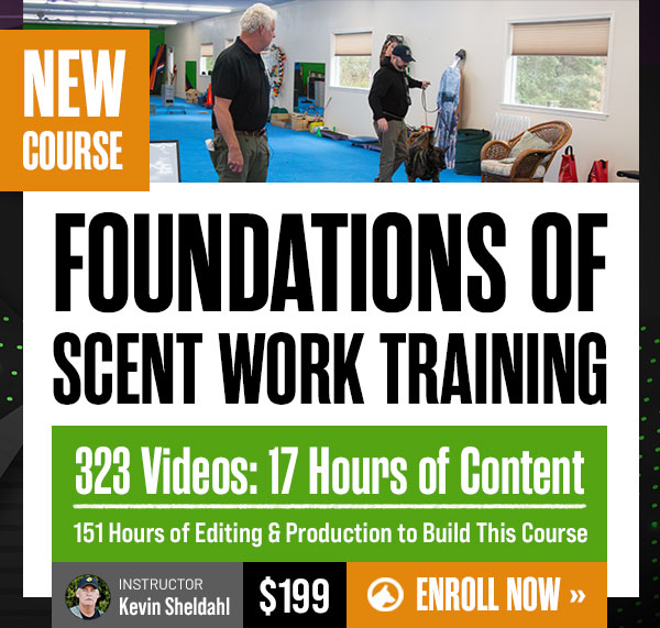 New Course: Foundations of Scent Work Training
