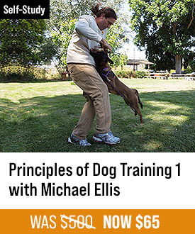 The Principles of Dog Training 1 with Michael Ellis