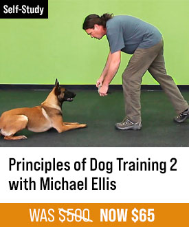 The Principles of Dog Training 2 with Michael Ellis