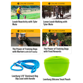 Leash Reactivity and Loose Leash Walking Bundle