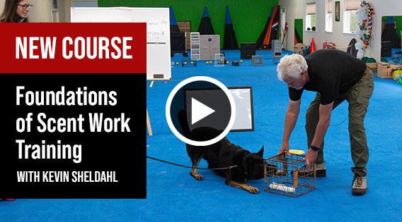 Learn more about this course